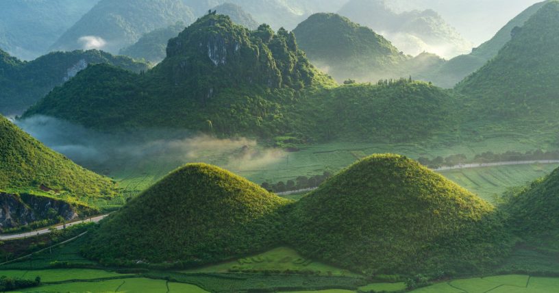 Beautiful,Rice,Paddy,Field,Of,Fairy,Bosom,Or,Twin,Mountains,